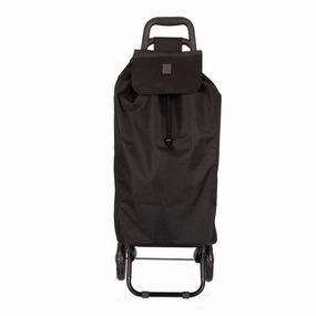 2-Wheel Shopping Cart