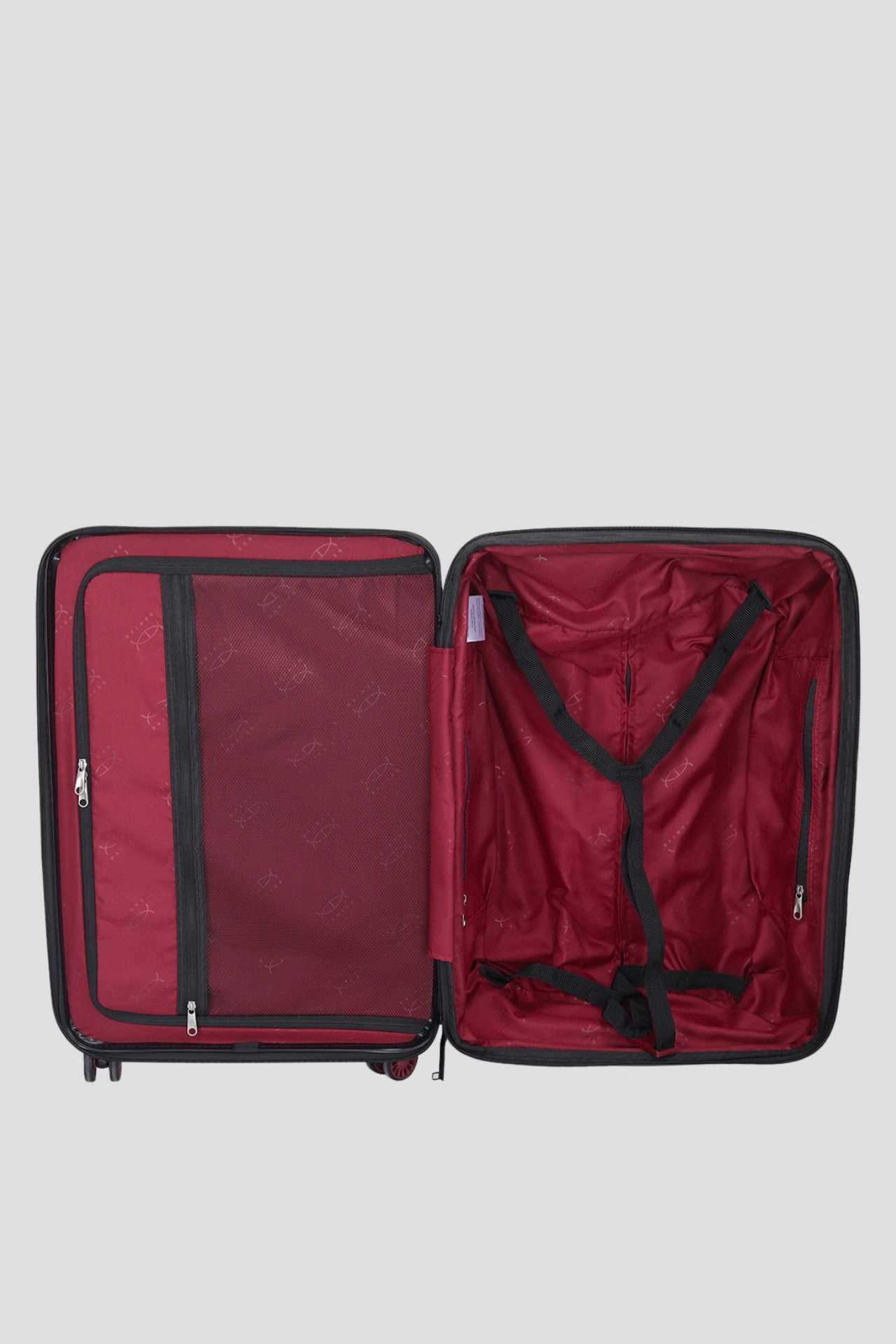 ADVENTURE SEEKER 29