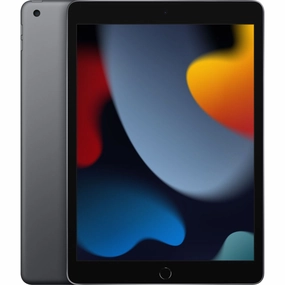 Apple iPad 9th Gen 256GB Space Gray Wi-Fi MK2N3LL/A (Latest Model)
