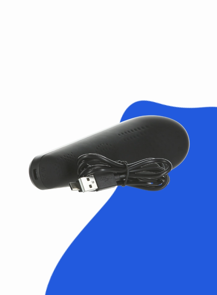 BMS Factory PALMPOWER EXTREME Vibrating Body Wand Massager