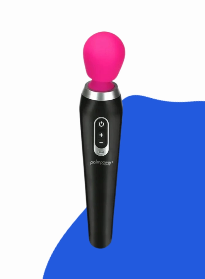 BMS Factory PALMPOWER EXTREME Vibrating Body Wand Massager