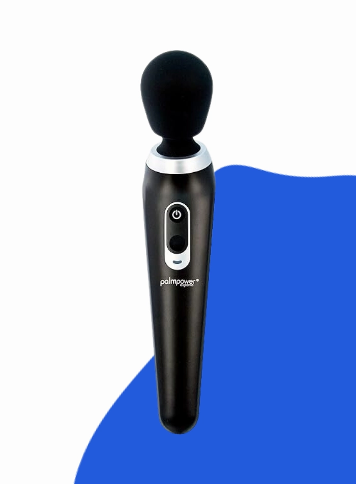 BMS Factory PALMPOWER EXTREME Vibrating Body Wand Massager