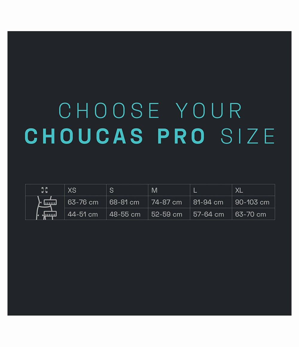 Choucas Pro Harness