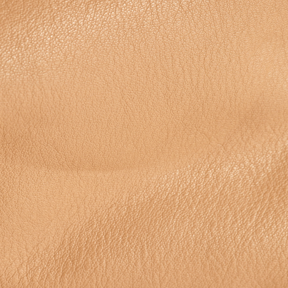 Oliver Zip | Toast Tan/Brushed Gold
