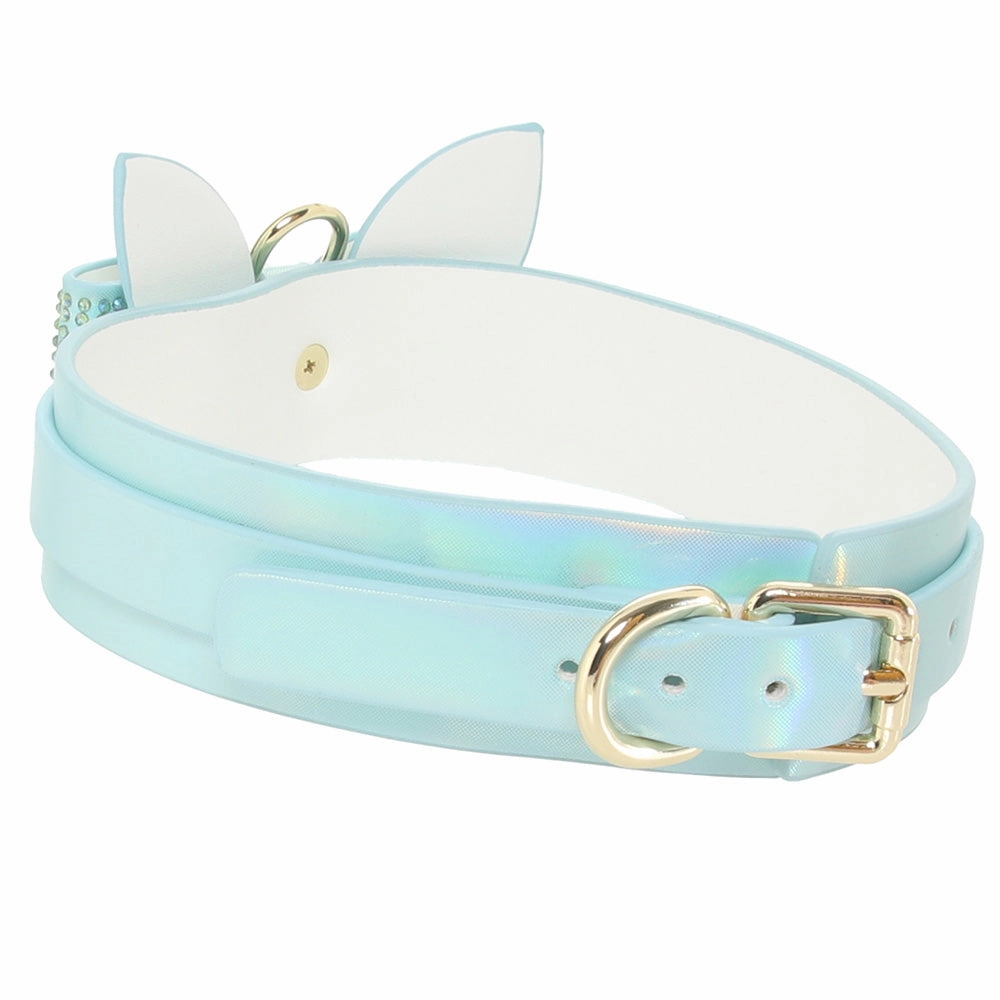 Ouch! Paris Collection Collar & Leash in Blue