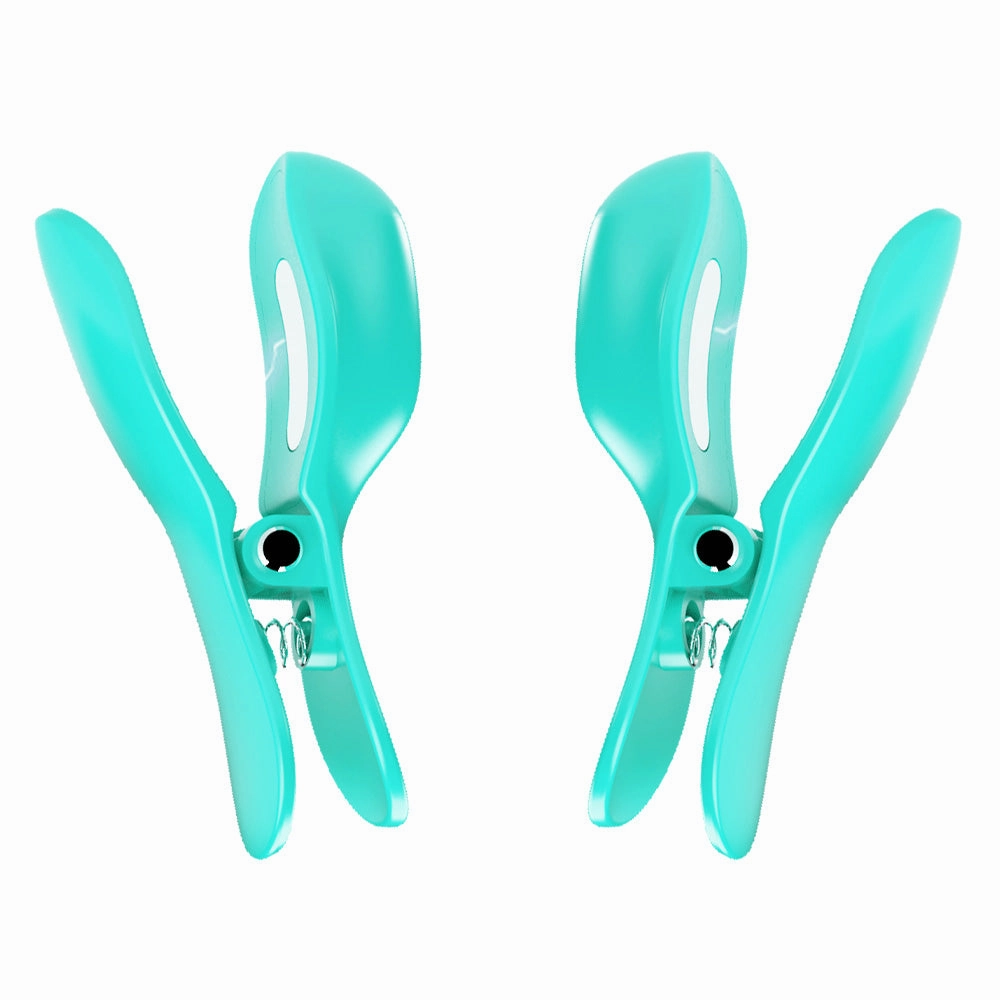 Pretty Love Surprise Box E-Stim Nipple Clamps & Vibrating Egg