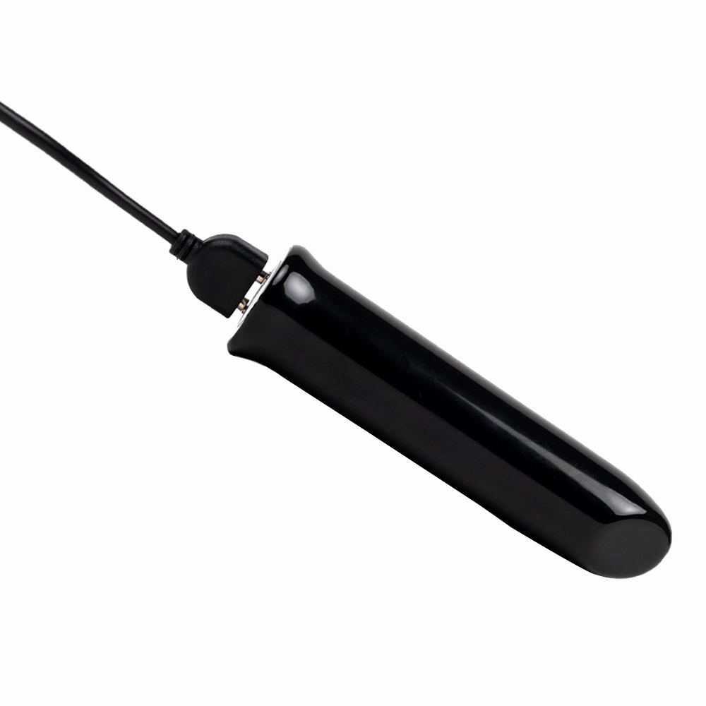 Sexyland Zippy Super-Power Bullet Vibrator